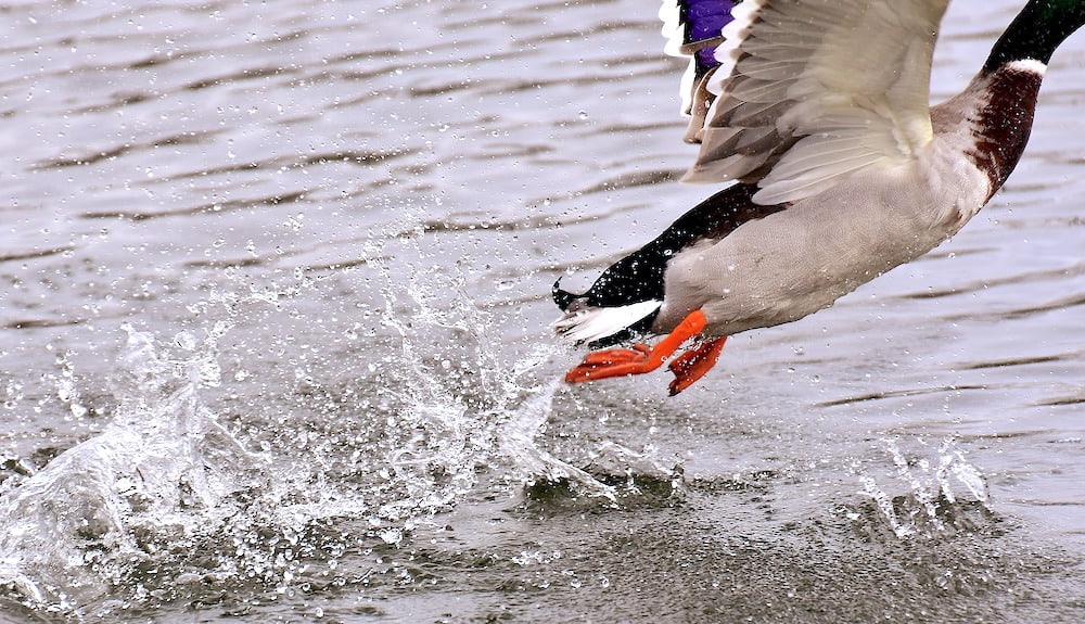 数学 教材の使い方
