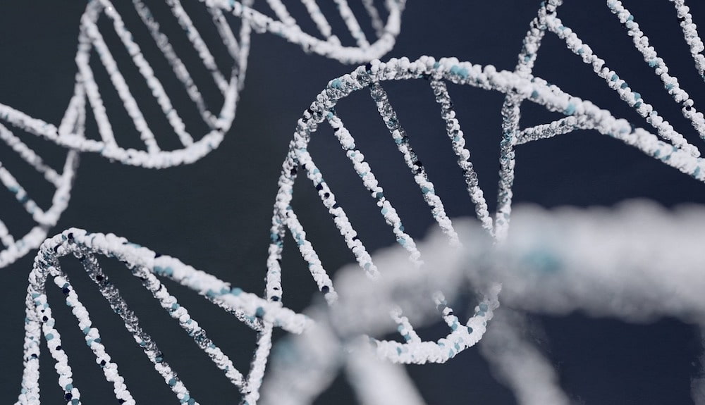 生物 教材の使い方