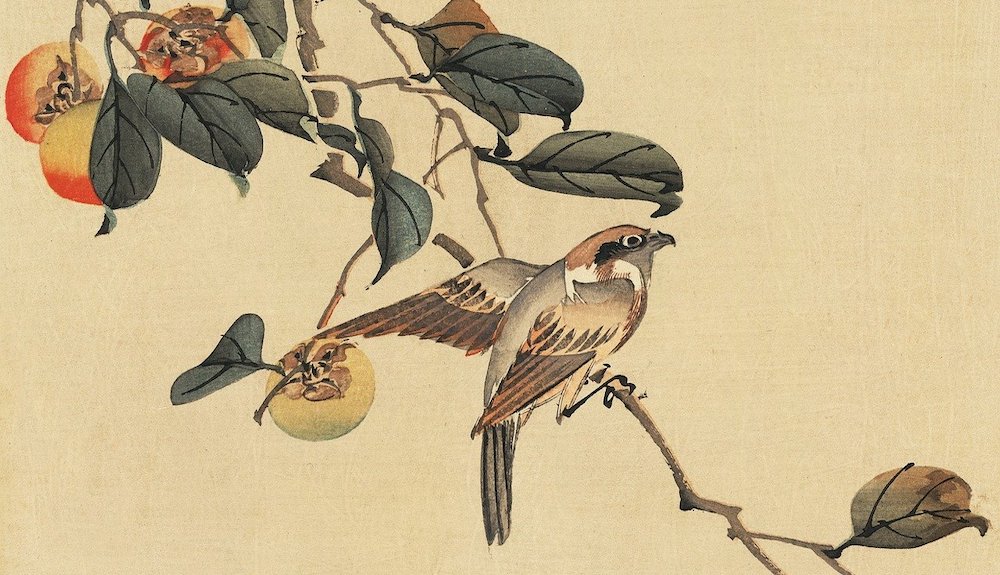 国語 教材の使い方