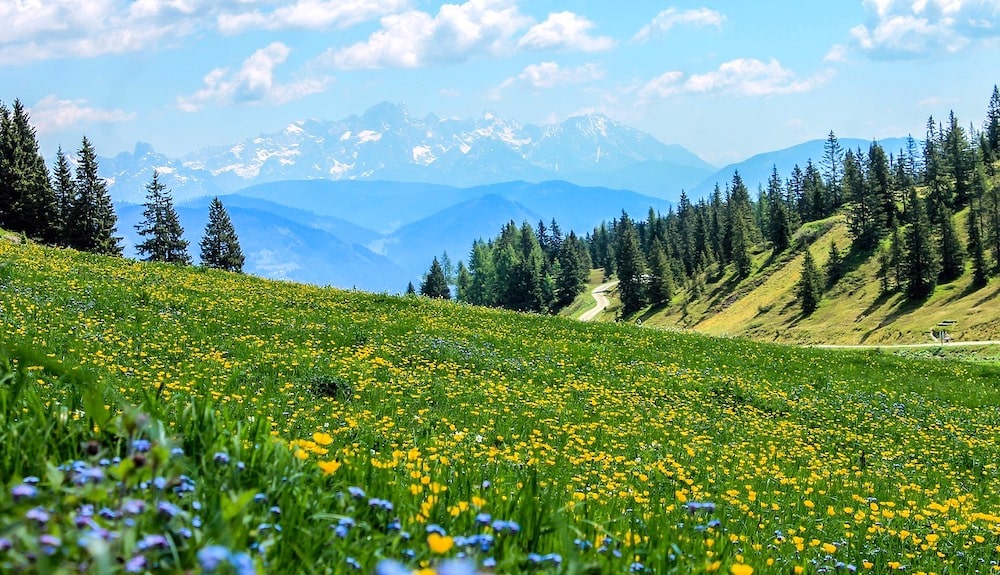 プライバシーポリシー